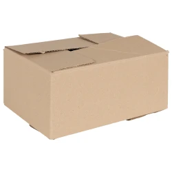 Preklopna kutija 50 pcs Prirodna 30 x 21,5 x 14 cm Karton