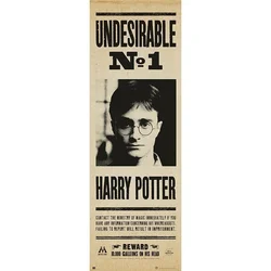 Harry Potter PLAKAT PUERTA HARRY POTTER NEZAŽELEN N§1, (20837442)