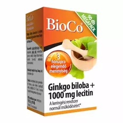 Ginkgo Biloba + Lecitin 1000 mg (90 kap.)