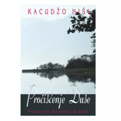 Pročišćenje duše Kacudžo Niši