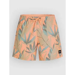 ONeill Print 16 kopalne hlače orange tropicana big