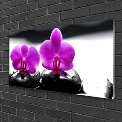 tulup.si Slika na steklu Orhideje narava 125x50 cm 4 obešalnika