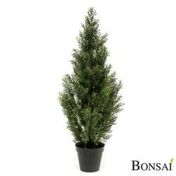 Cipresa 90cm z UV zaščito - 76 do 100 cm