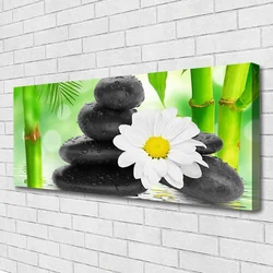 tulup.si Slika na platnu Bamboo daisy flower 120x60 cm