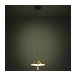 Eglo 390271 - LED luster na sajli PARAGUAY LED/12W/230V 3000K zlatna