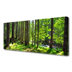 tulup.si Slika na platnu Narava rastlin forest trees 120x60 cm