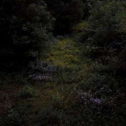 Fireworks - Higher Lonely Power (Limited Edition) (Coloured) (LP)