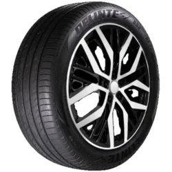 Delinte DS2 SUV ( 225/55 ZR18 102W XL )