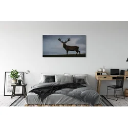 tulup.si Slika na platnu Jelen noč 120x60 cm