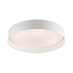 Schöner Wohnen 14594-16 - LED prigušiva. stropno svetlo TAVOLI LED/20W/230V bela+daljinski upravljač
