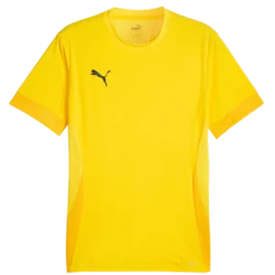 Dre Puma teamGOAL Matchday Jerey