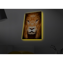 Opviq Slika na platnu sa LED osvetljenjem 45x70cm