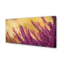 tulup.si Slika na platnu Cvetje 120x60 cm