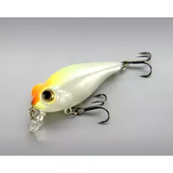 OWNER VARALICA BB 48F 64