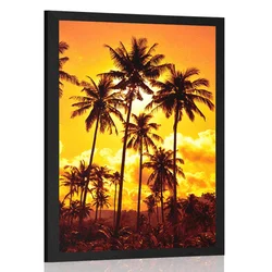 Plakat kokosove palme na plaži - 60x90 silver