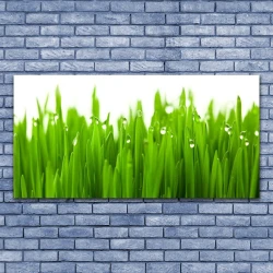 tulup.si Slika na platnu Grass nature rastlin 125x50 cm