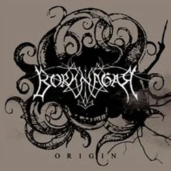 Borknagar - Origin (Limited Edition) (Red Coloured) (LP)