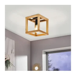 Eglo 32146 - Plafonsko svetlo BLACKCROWN 1xE27/40W/230V