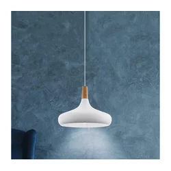 Eglo 901179-Luster na sajli SABINAR 1xE27/40W/230V prečnik 40 cm bela-