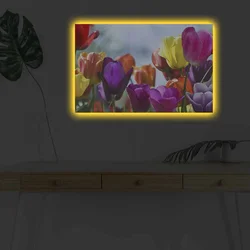 Zidna slika sa LED osvjetljenjem 4570DHDACT-042, 45x70 cm