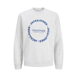 JACK & JONES Majica JJBENSON modra / pegasto bela