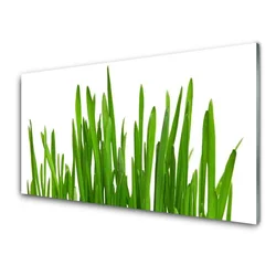 tulup.si Steklena slika Grass on wall 100x50 cm 4 obešalnika