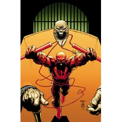 DAREDEVIL MODERN ERA EPIC COLL DEVIL IN