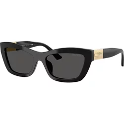 Jimmy Choo Naočare za sunce JC 5030U 500087