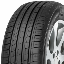 Minerva F209 ( 225/55 R16 99W RF )