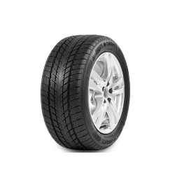 DAVANTI 165/60R14 79H Wintoura zim