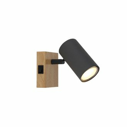 GLOBO zidna lampa Robby 57911-1G