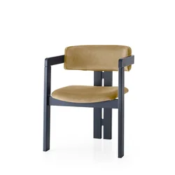 Hanah Home Trpezarijska stolica CO 021, 58x76x49 cm, Oker
