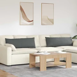 Jastučići za sofu 2 pcs Tamno siva 120 x 40 cm tkanina