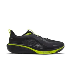 Nike Pegasus 42 GTX
