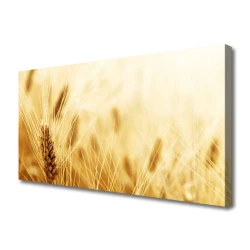 tulup.si Slika na platnu Pšenica rastlin narava 125x50 cm