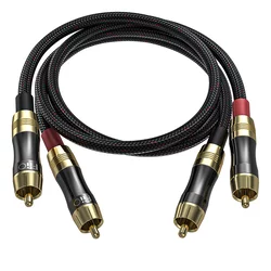 FiiO LR-RCA2