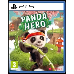 PS5 Panda Hero