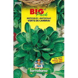MOTOVILEC VERTE DE CABRAI BIG PACK 15gr