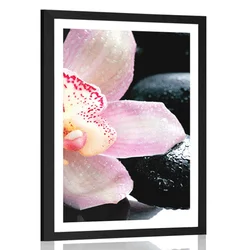Plakat s paspartujem eksotična orhideja - 30x45 black