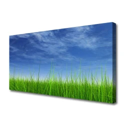 tulup.si Slika na platnu Sky grass nature rastlin 140x70 cm