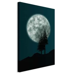 shumee Slika - Čudovita polna luna (1-delna) navpična