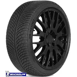 Michelin Pilot Alpin 5 ( 315/30 R21 105V XL AML, EV Suitable, sa zaštitnom lajsnom za felne (FSL) )