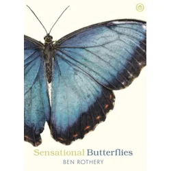 Sensational Butterflies