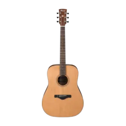 IBANEZ AW65 LG akustična kitara