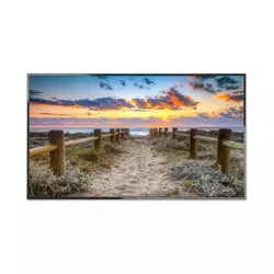 NEC C551 55-Class Full HD Commercial LED Display