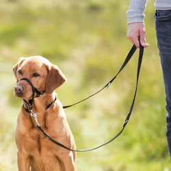 TRIXIE Top Trainer Training Harness - trening traka za njušku XS 17cm