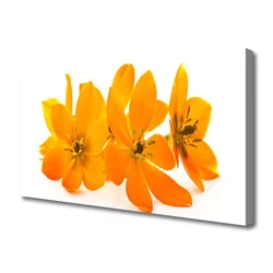 tulup.si Slika na platnu Orange rastlin cvetje 140x70 cm