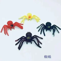 Pajek 10cm