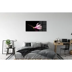 tulup.si Slika na akrilnem steklu Cvet vode 100x50 cm 2 obešalnika