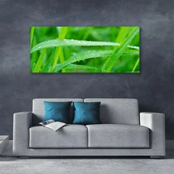 tulup.si Slika na platnu Listi nature dew drops 125x50 cm